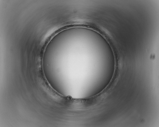 X0000112841267200908211232