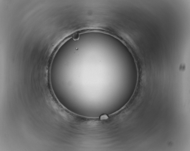 X0000112841268200908211232