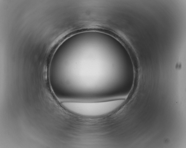 X0000112841269200908211232