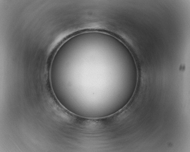 X0000112841270200908211232