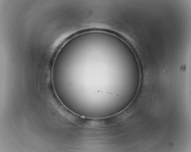 X0000112841271200908211232