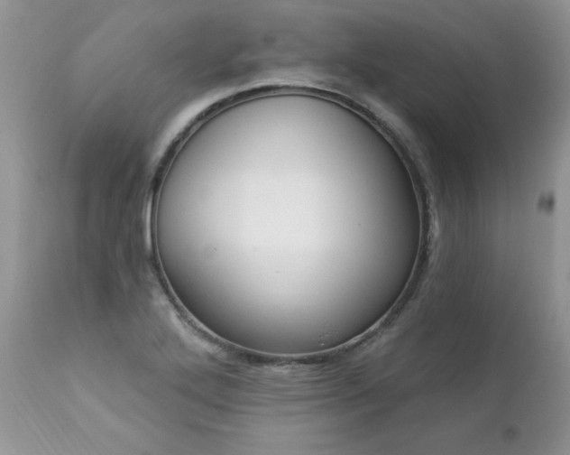 X0000112841272200908211232