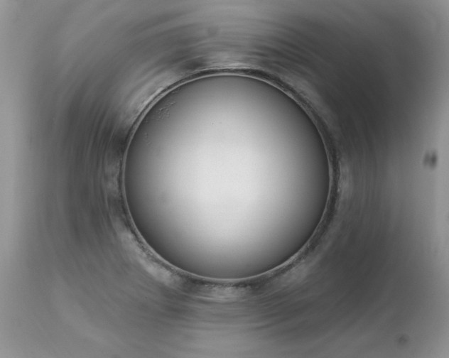 X0000112841273200908211232