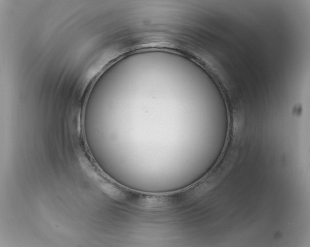 X0000112841274200908211232