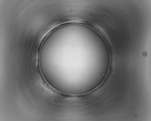 X0000112841276200908211232