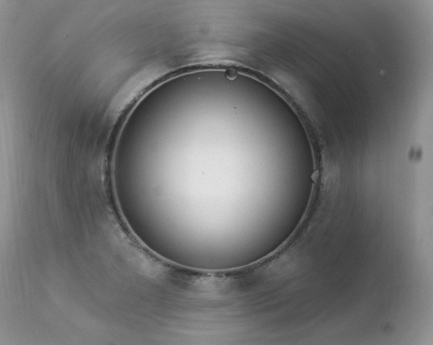 X0000112841277200908211232