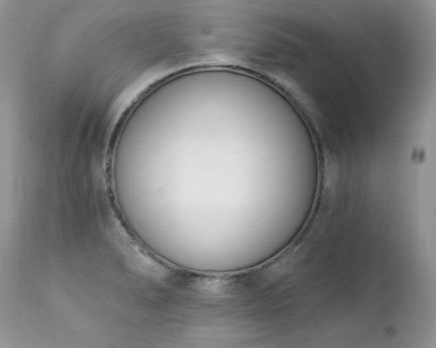 X0000112841278200908211232