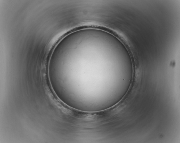 X0000112841279200908211232