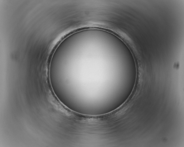 X0000112841280200908211232