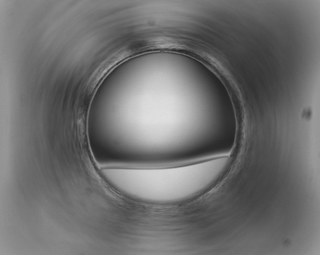 X0000112841281200908211232