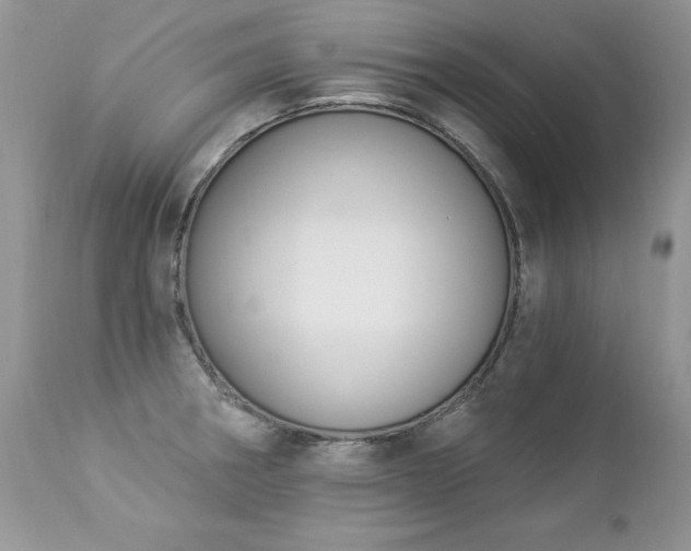 X0000112841282200908211232