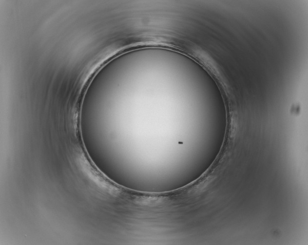 X0000112841284200908211232