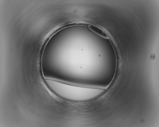 X0000112841285200908211232