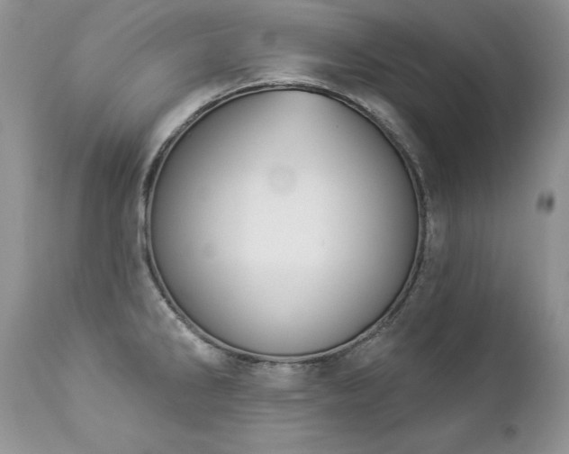 X0000112841286200908211232