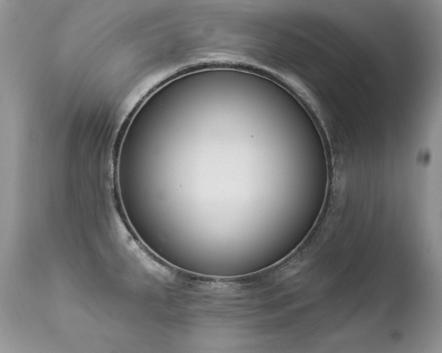 X0000112841287200908211232