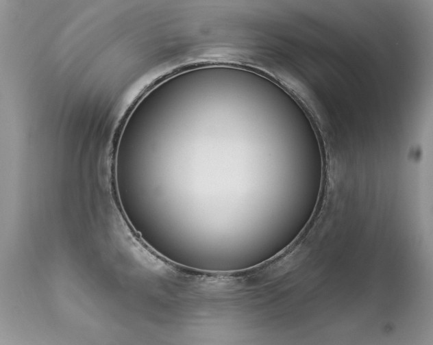 X0000112841288200908211232