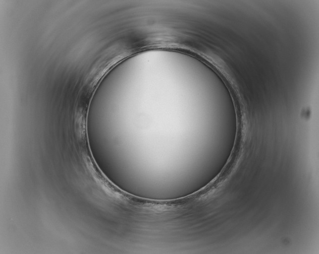 X0000112841289200908211232