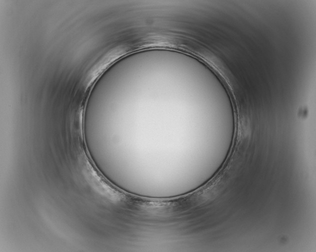 X0000112841290200908211232