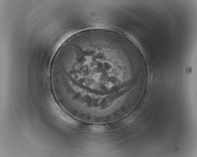 X0000112841291200908211232