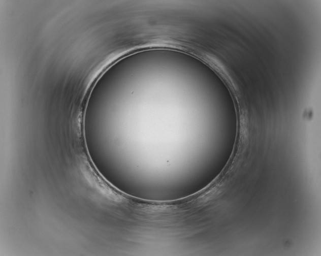 X0000112841292200908211232