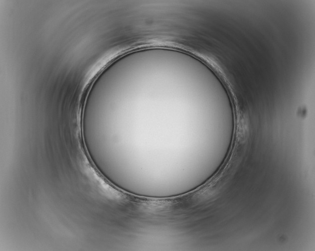 X0000112841294200908211232