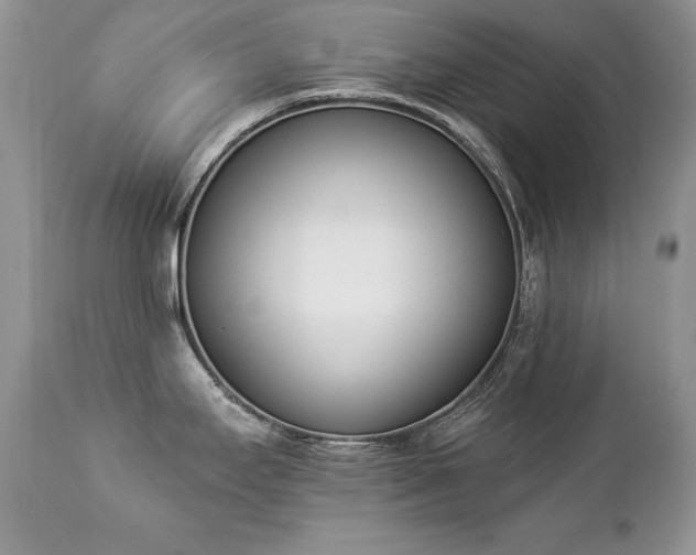 X0000112841295200908211232