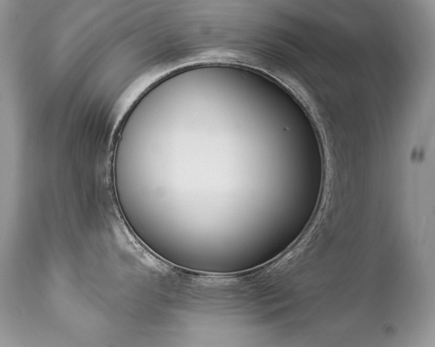 X0000112841296200908211232