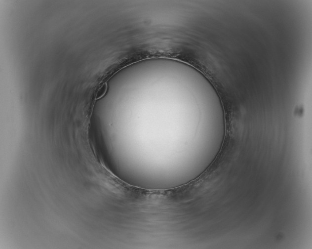 X0000112841297200908211231