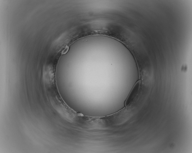 X0000112841298200908211231