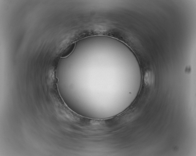 X0000112841299200908211231