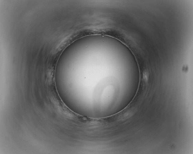 X0000112841300200908211231