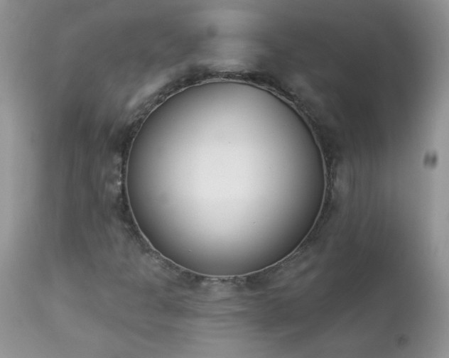 X0000112841301200908211231