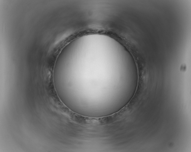 X0000112841302200908211231