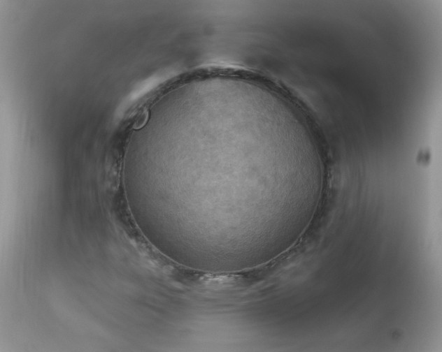 X0000112841303200908211231