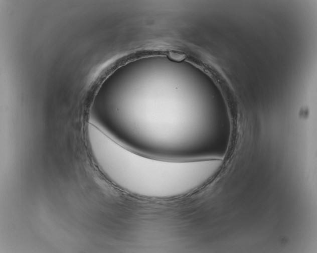 X0000112841304200908211231