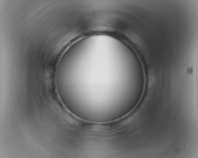 X0000112841305200908211231