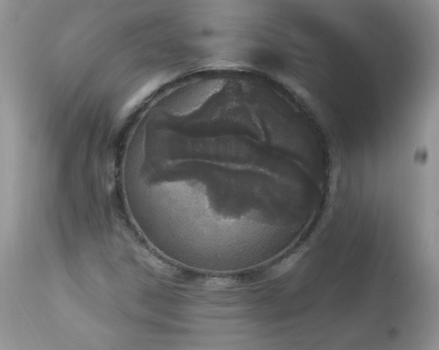 X0000112841306200908211231