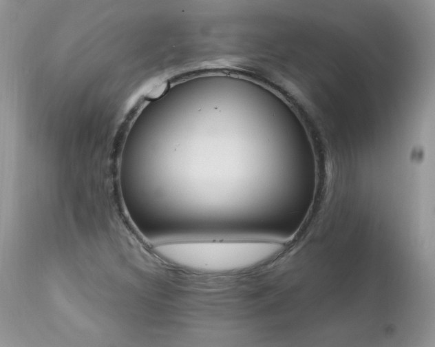 X0000112841308200908211231