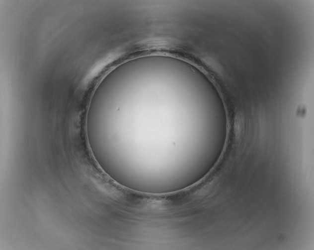 X0000112841309200908211231