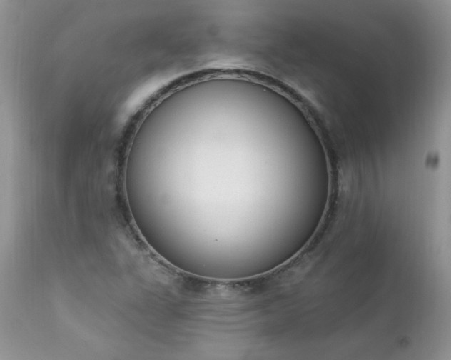 X0000112841311200908211231