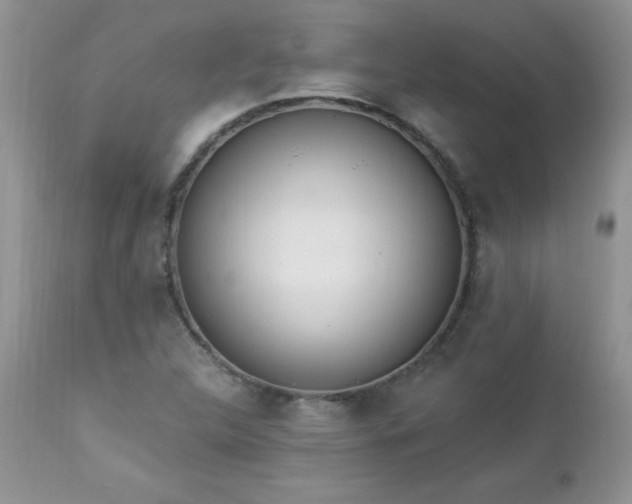 X0000112841312200908211231