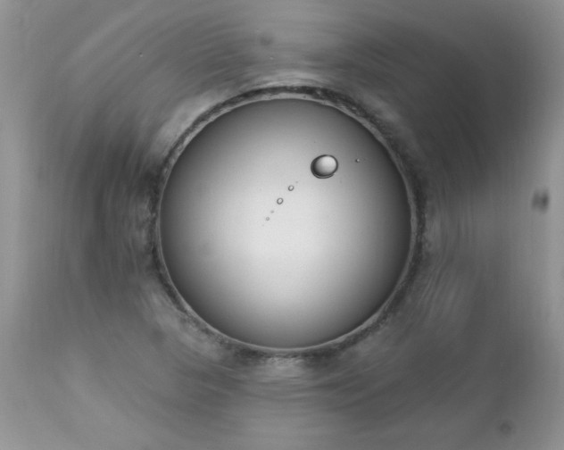 X0000112841313200908211232