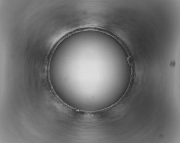 X0000112841316200908211232