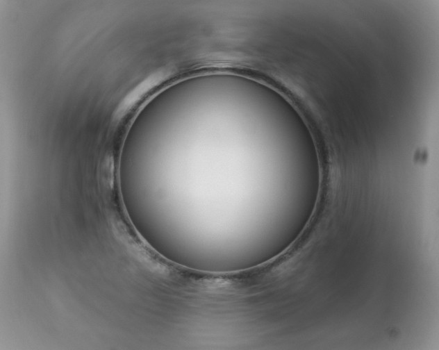 X0000112841317200908211232