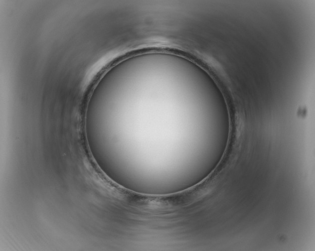 X0000112841318200908211232