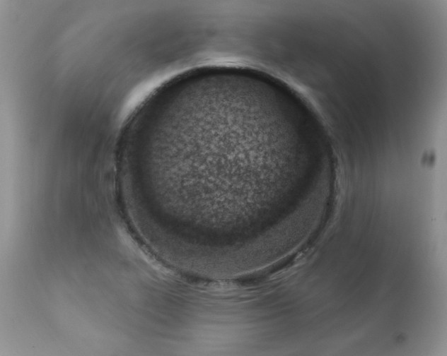 X0000112841319200908211232