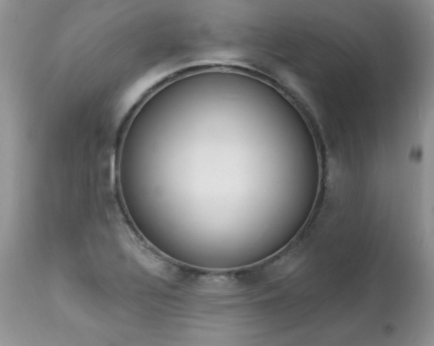 X0000112841320200908211232