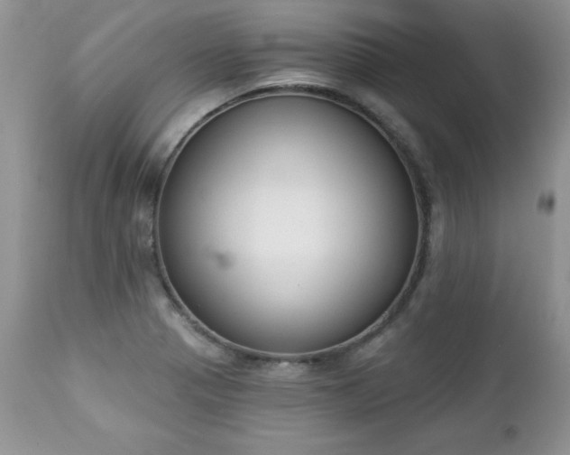 X0000112841321200908211232