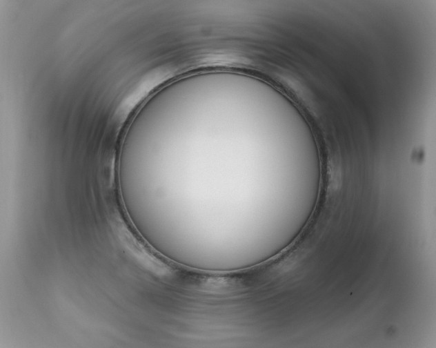 X0000112841322200908211232