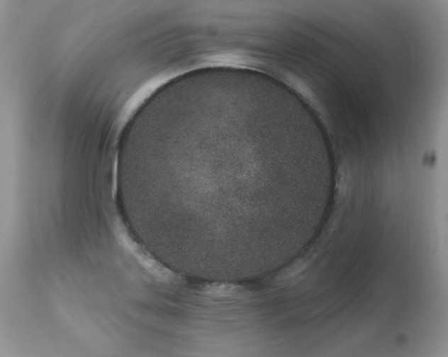 X0000112841323200908211232